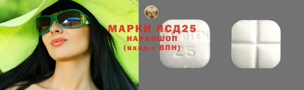 МДПВ Богородицк