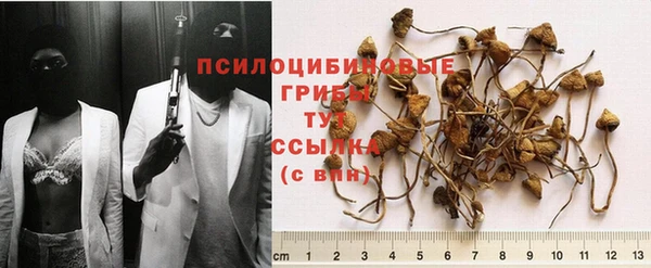 бошки Белоозёрский
