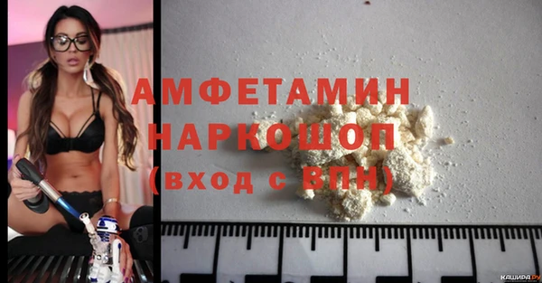 молекула духа Ростов