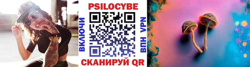 купить закладку  mega сайт  Псилоцибиновые грибы мицелий  Кизел 